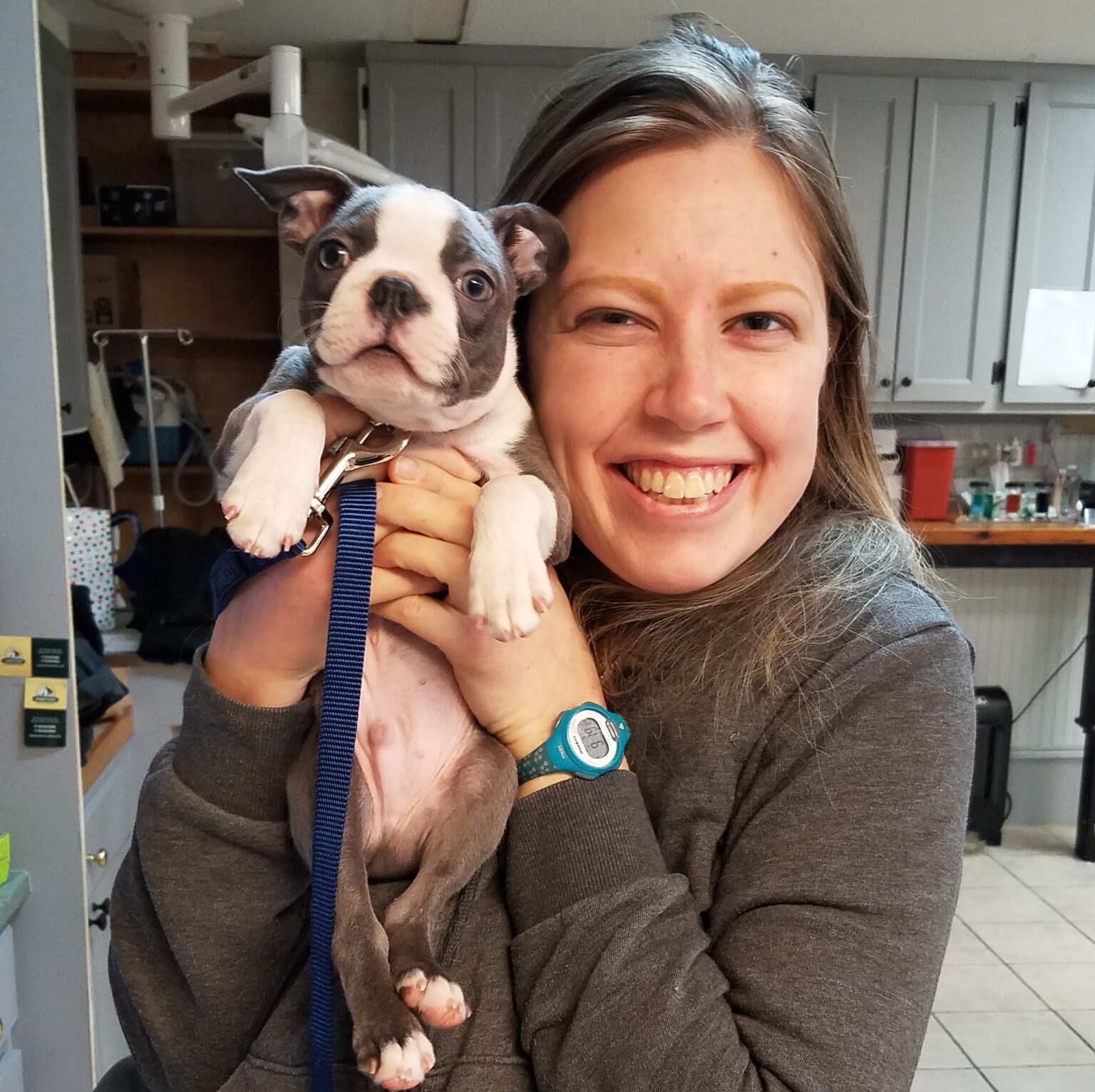 Professional Veterinary Team Hometown Veterinary Clinic